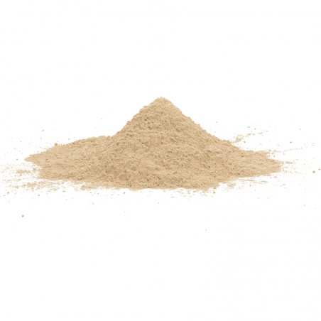 El polvo de cemento de resina de color beige pálido forma una pequeña pila cónica sobre una superficie blanca y lisa.