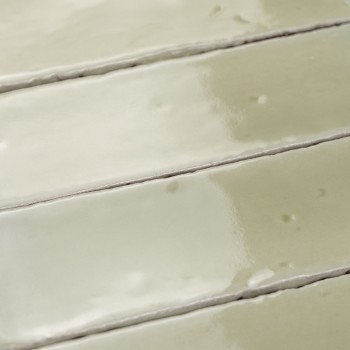 Vitri Salbei 5x15