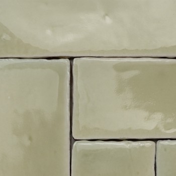 Vitri Salbei 5x15