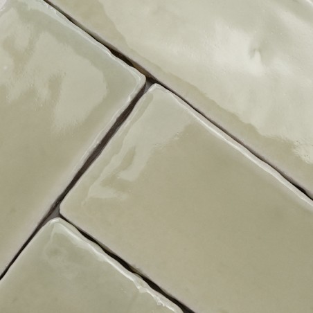 Vitri Salbei 5x15