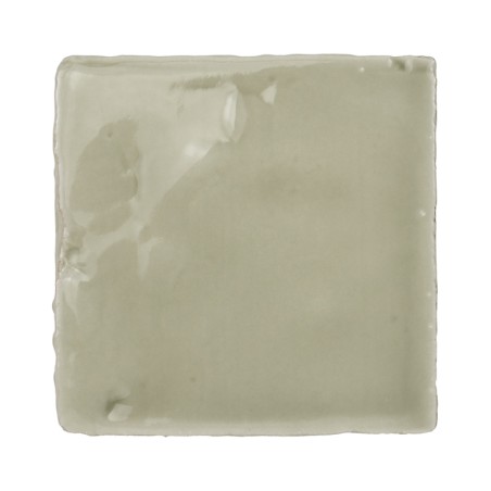 Vitri Salbei 10x10