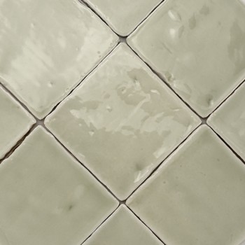 Vitri Salbei 10x10