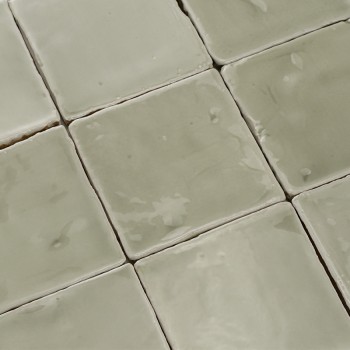 Vitri Salbei 10x10