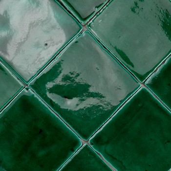 Vitri Green 10x10