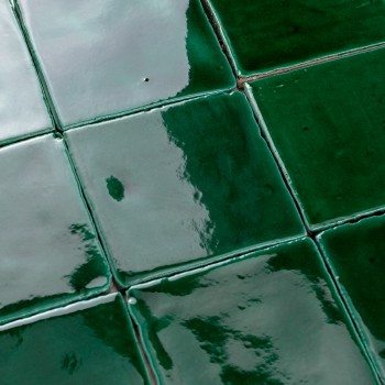 Vitri Green 10x10