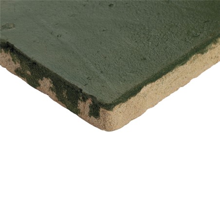 Chroma Bouteille 10x10