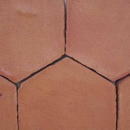 Chroma Corail Hexágono 10