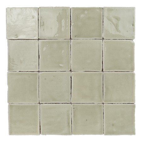 Vitri Salbei 10x10