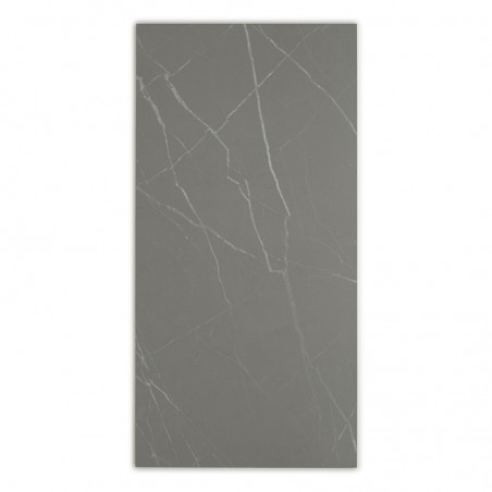 Rectangular tile features a smooth, gray surface with white, vein-like patterns crisscrossing. It rests against a plain, white b