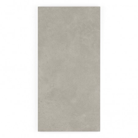 Un carreau rectangulaire gris repose à plat, affichant une texture lisse avec des marbrures subtiles, sur un fond blanc uni.