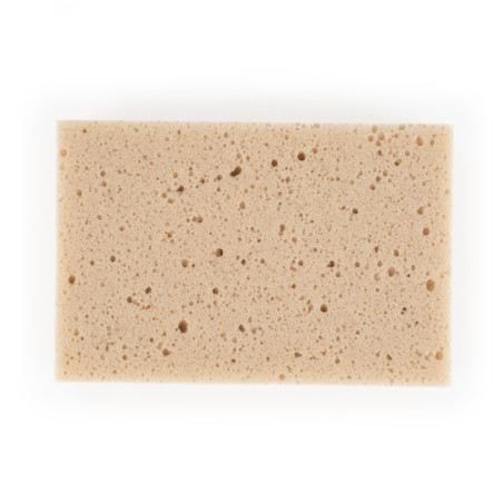 Een rechthoekige beige spons, bedekt met kleine gaatjes, ligt plat tegen een effen witte achtergrond.