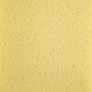 Textura esponjosa amarela e porosa com pequenos orifícios espalhados uniformemente pela superfície, preenchendo toda a moldura.