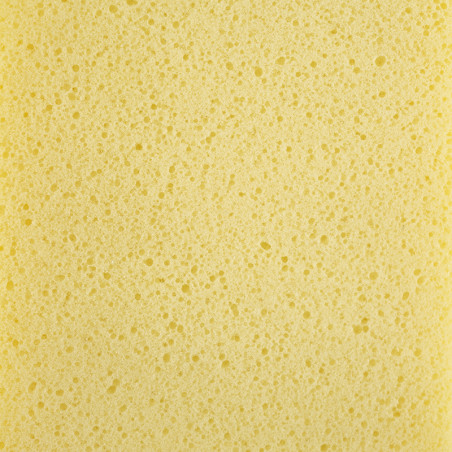Textura esponjosa amarela e porosa com pequenos orifícios espalhados uniformemente pela superfície, preenchendo toda a moldura.