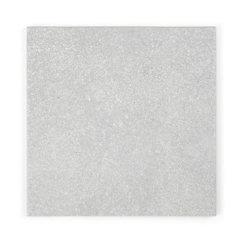 Un carreau carré gris clair présente une surface texturée avec des motifs mouchetés, sur un fond blanc uni.