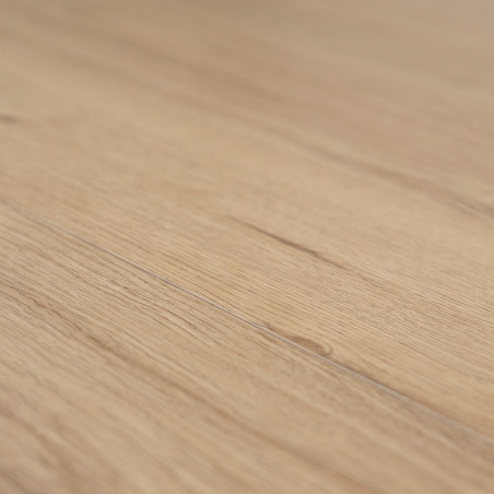 Flache Fliese mit heller Holzmaserung, die natürliche Textur und subtile Linien in einer neutralen, sanft beleuchteten Umgebung 