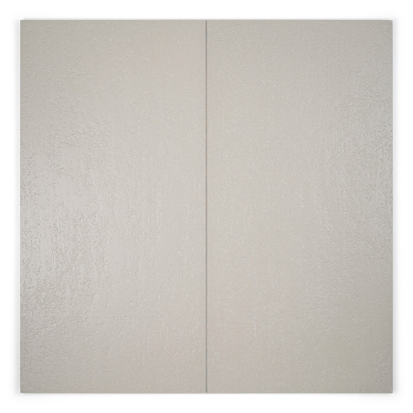 Two adjacent, light gray rectangular tiles with a glossy surface form a minimalistic backdrop in a neutral setting.