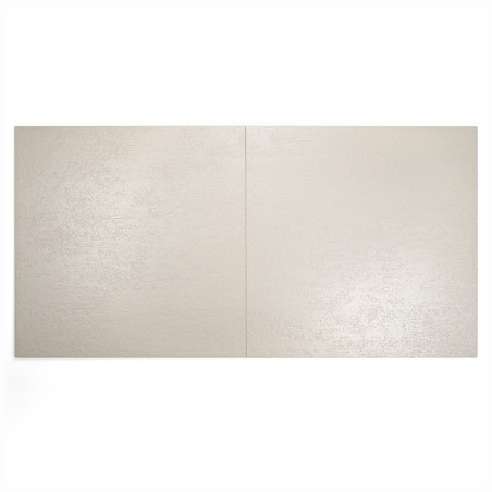 Deux carreaux rectangulaires beige clair sont assemblés. Ils ont une surface texturée subtile, placée sur un fond blanc uni.