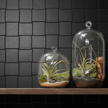 Glazen terraria met kleine luchtplanten en mos rusten op een houten plank tegen een gestructureerde zwarte tegelwand met vierkan