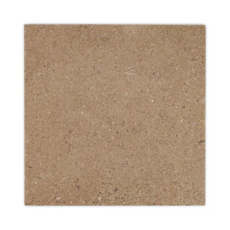 Le carreau de céramique carré présente une surface lisse avec une texture beige sable marbrée, suggérant un aspect de pierre nat