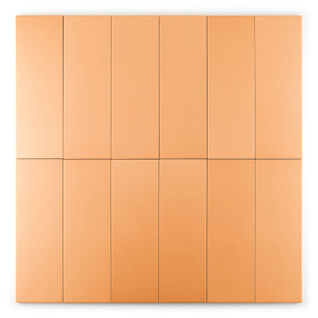 Twaalf rechthoekige, oranje tegels zijn gerangschikt in een raster van 4x3, waardoor een repetitief, uniform patroon ontstaat te