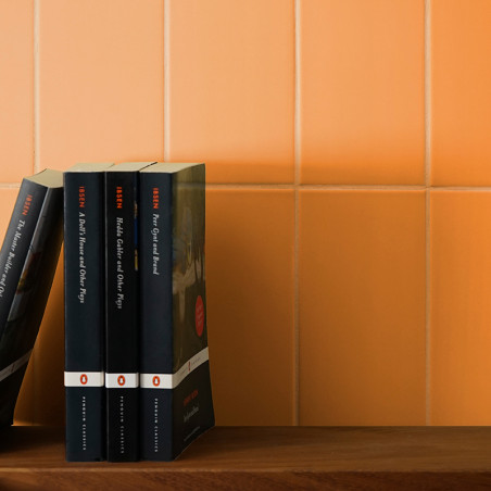 Les livres sont debout sur une étagère en bois. La toile de fond est un mur carrelé orange discret, créant un cadre chaleureux e