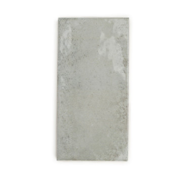 Een rechthoekige, lichtgrijze betontegel vertoont subtiele spikkels en onregelmatige texturen, wat een natuurlijke en onafgewerk