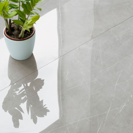 Una pequeña planta en maceta proyecta un reflejo claro sobre un piso de azulejos de color gris claro brillante, resaltando la su