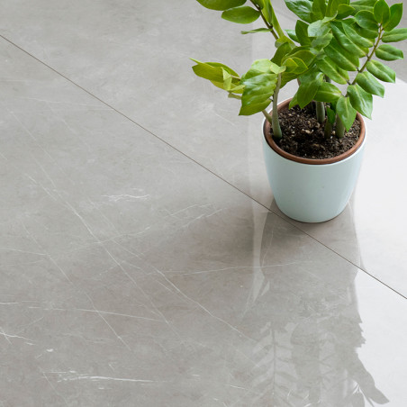 Una planta en maceta con hojas de color verde brillante se asienta tranquilamente sobre un suave piso de azulejos de mármol gris