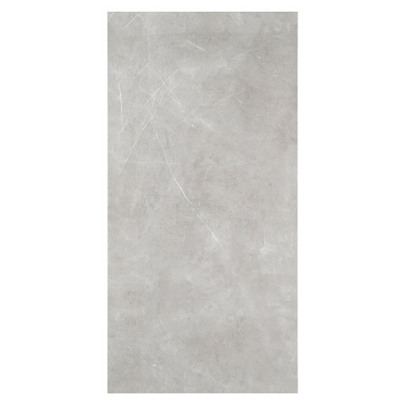 Un carreau rectangulaire gris clair avec de subtiles veines blanches repose sur un fond uni et blanc, ressemblant à une surface 