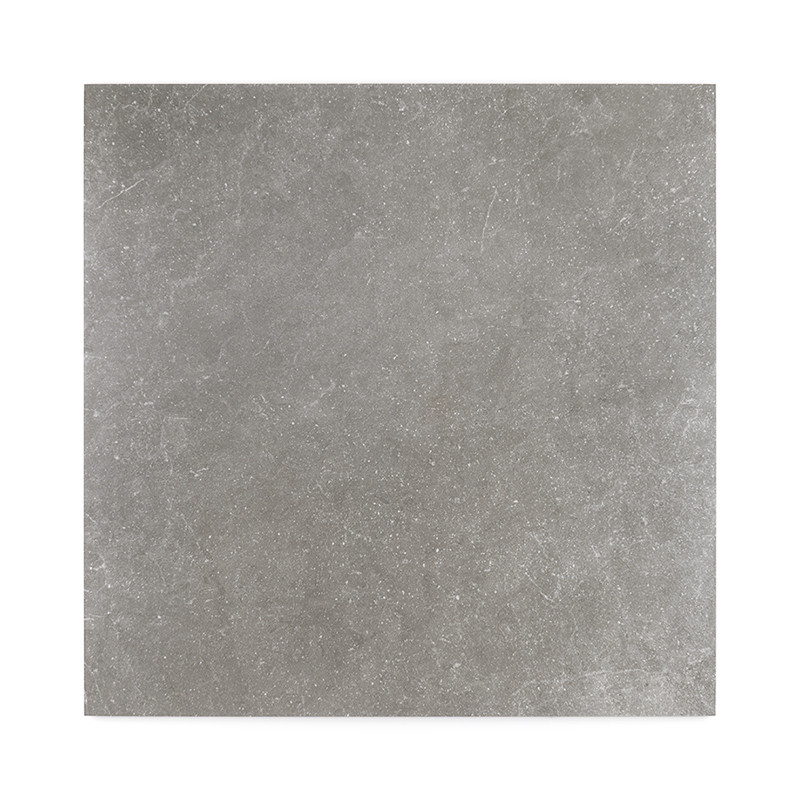Le carreau présente une surface gris mat lisse avec de subtils motifs mouchetés, créant un design minimaliste et polyvalent adap