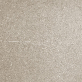 Een gladde, beige tegel met subtiele gemarmerde patronen en een matte afwerking. De context suggereert een neutrale, minimalisti