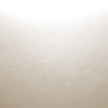 Une surface lisse et beige clair reflète la lumière vive, créant un effet dégradé doux qui s'estompe dans l'ombre.