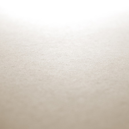 Une surface lisse et beige clair reflète la lumière vive, créant un effet dégradé doux qui s'estompe dans l'ombre. Une surface lisse et beige clair reflète la lumière vive, créant un effet dégradé doux qui s'estompe dans l'ombre.