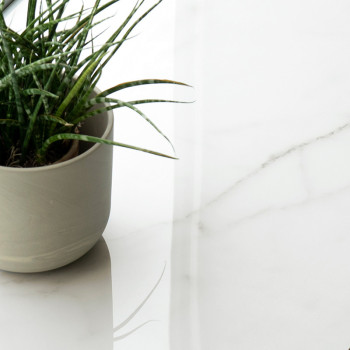 Eine grüne Topfpflanze steht auf einer glatten, weißen Marmoroberfläche und reflektiert sanftes natürliches Licht in einer minim