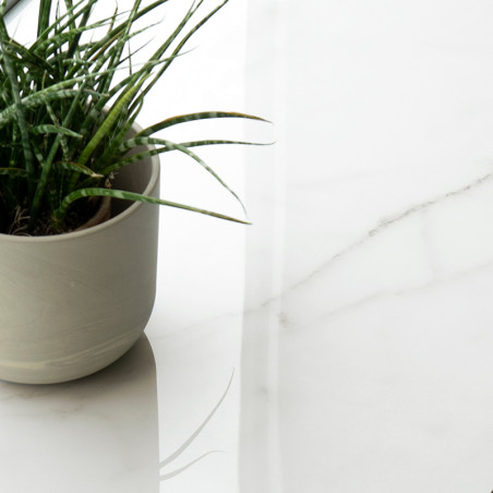 A green potted plant sits on a smooth, white marble surface, reflecting soft natural light in a minimalist setting.