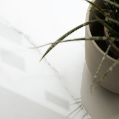 A potted plant with long, thin leaves rests on a smooth, white, reflective surface, suggesting a minimalist indoor environment.