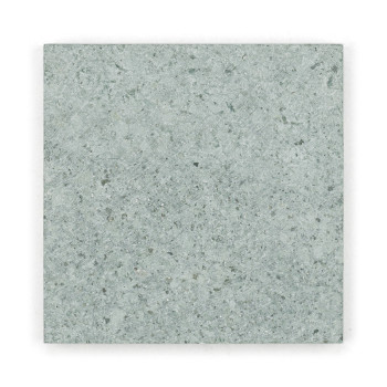 Carreau de pierre grise, posé à plat, affichant un motif texturé et moucheté avec de subtiles variations de nuances et de couleu