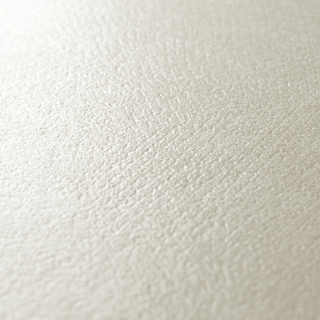 Un carreau beige clair et lisse présente une surface texturée subtile, reflétant une lumière douce, suggérant un décor de pièce 