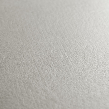 Los azulejos de cerámica gris, con un patrón de textura sutil, se encuentran planos, asemejándose a suaves pinceladas en un ambi