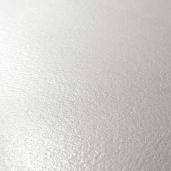 Un azulejo liso de color gris claro refleja la luz sutilmente y presenta un patrón de superficie fino y texturizado en un ambien