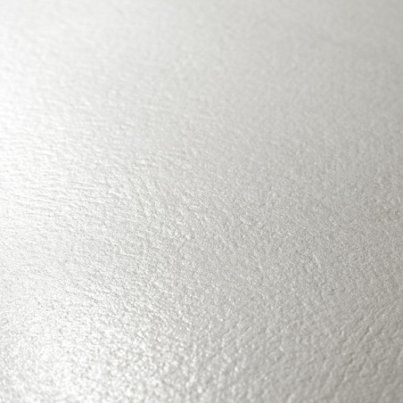 Un carreau lisse gris clair reflète subtilement la lumière, avec un motif de surface fin et texturé dans un cadre minimaliste.