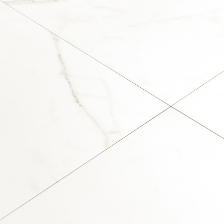 Les carreaux de marbre blanc présentent de légères veines grises, formant un motif de grille classique. il repose sur une surfac