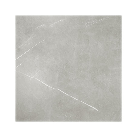 Un carreau carré présente une surface gris clair avec de subtiles veines blanches, ressemblant à de la pierre naturelle, destiné