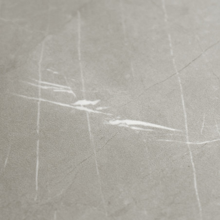 Un carreau lisse gris clair présente de subtiles veines blanches, rappelant le marbre, créant une apparence élégante et moderne 