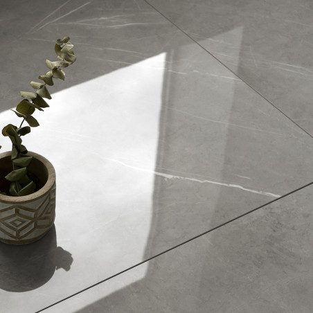 Une petite plante dans un pot décoratif repose sur des carreaux gris lisses et réfléchissants. La lumière provenant d’une fenêtr