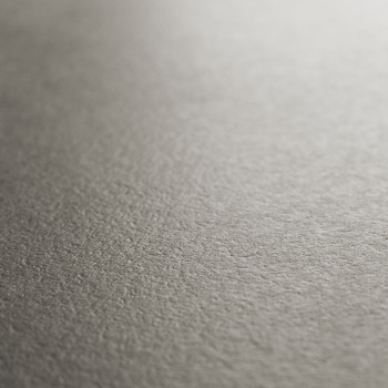 Eine glatte, neutral getönte Fliesenoberfläche weist eine subtile Textur auf und erzeugt bei diffusem Licht ein weiches, mattes 