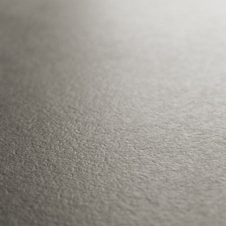 Une surface de carrelage lisse aux tons neutres affiche une texture subtile, créant une finition douce et mate sous un éclairage