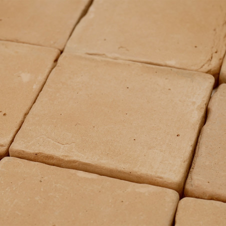 Les carreaux de terre cuite sont étroitement disposés, formant une surface uniforme avec des tons beiges naturels et des texture
