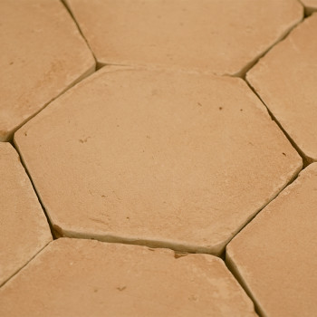 Les carreaux hexagonaux en terre cuite sont étroitement disposés, révélant de légers interstices, créant un motif rustique et na