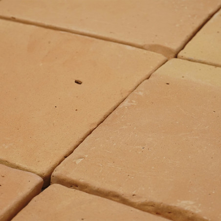 Les carreaux de terre cuite disposés en grille forment une surface rugueuse et terreuse, avec de légères variations de couleur e